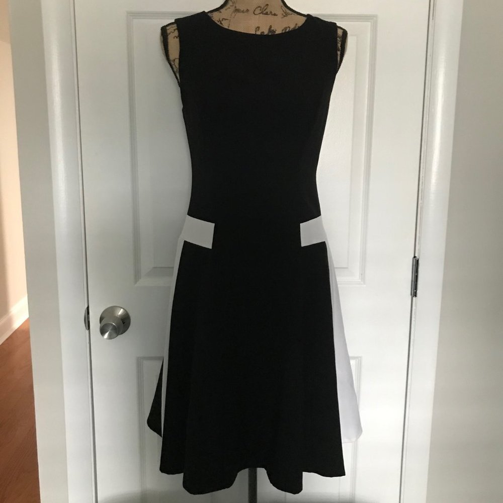 Calvin Klein Black and White Fit and Flare Dress
